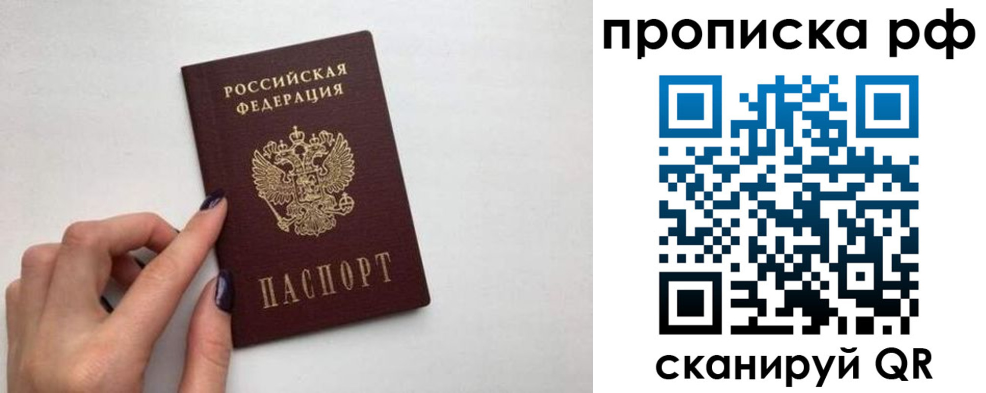 временная регистрация поиск в Будённовске